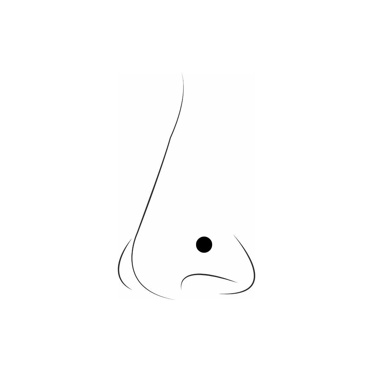 Set de 5 piercings nez studs acier inoxydable doré