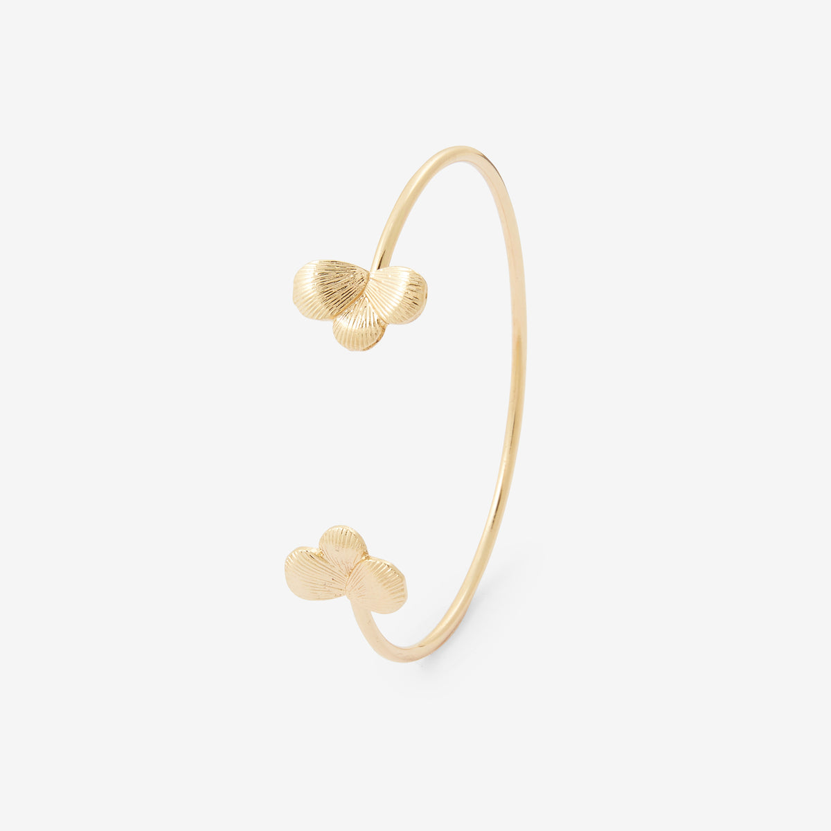 Jonc fins avec feuilles