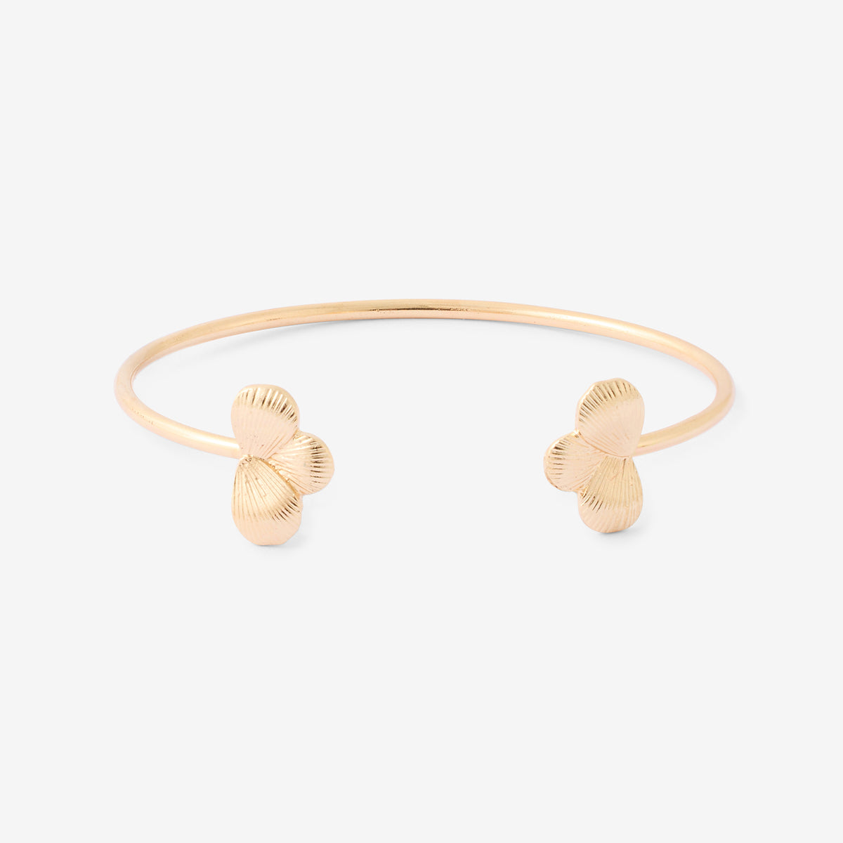 Jonc fins avec feuilles