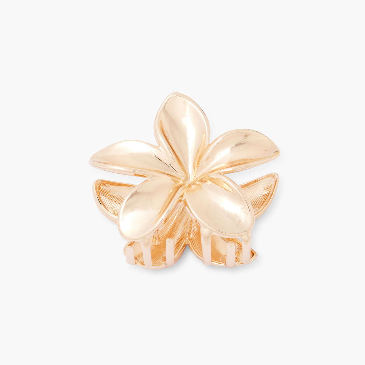 Pince à cheveux fleur tropicale dorée