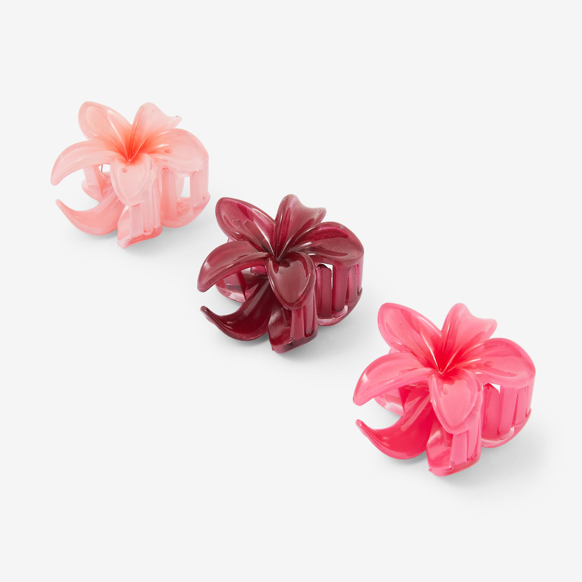 Set de 3 pinces fleurs tropicales