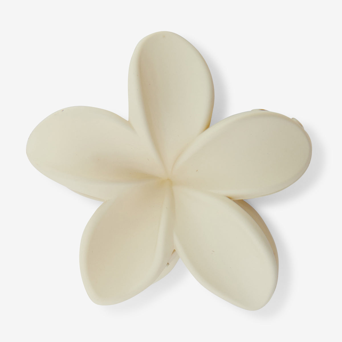 Pince à cheveux fleur tropicale ivoire