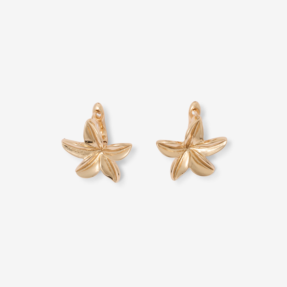 Boucles d’oreilles fleurs tropicales dorées
