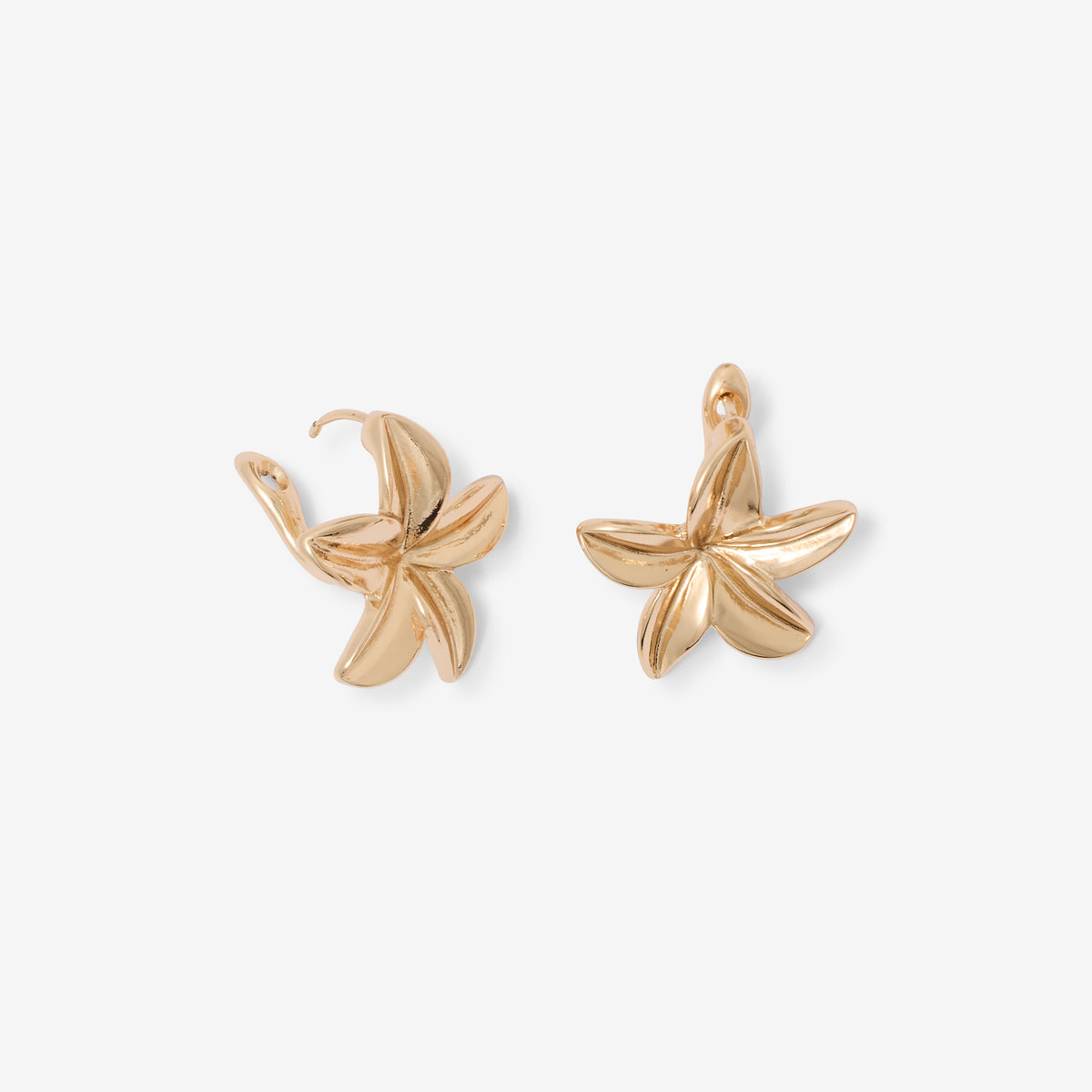 Boucles d’oreilles fleurs tropicales dorées