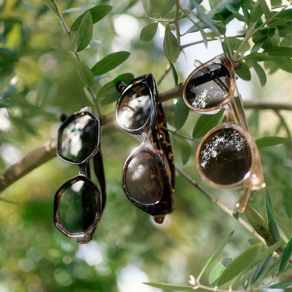 Lunettes de soleil écaille marron forme papillon