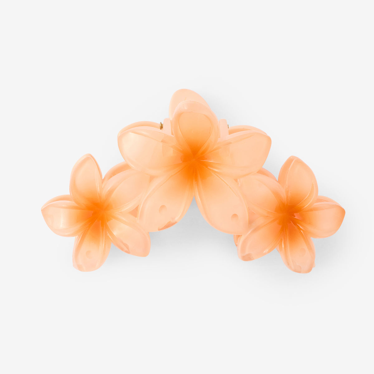 Pinces à cheveux fleurs corail
