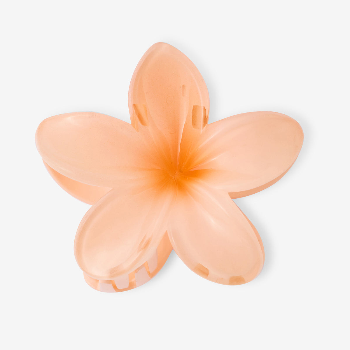 Pince à cheveux fleur tropicale corail