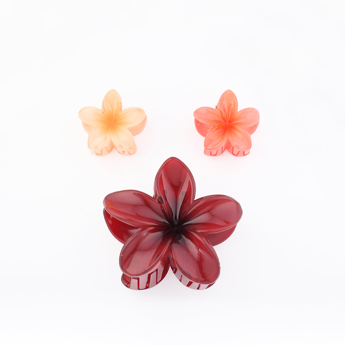 Set de 3 pinces cheveux fleurs tropicales