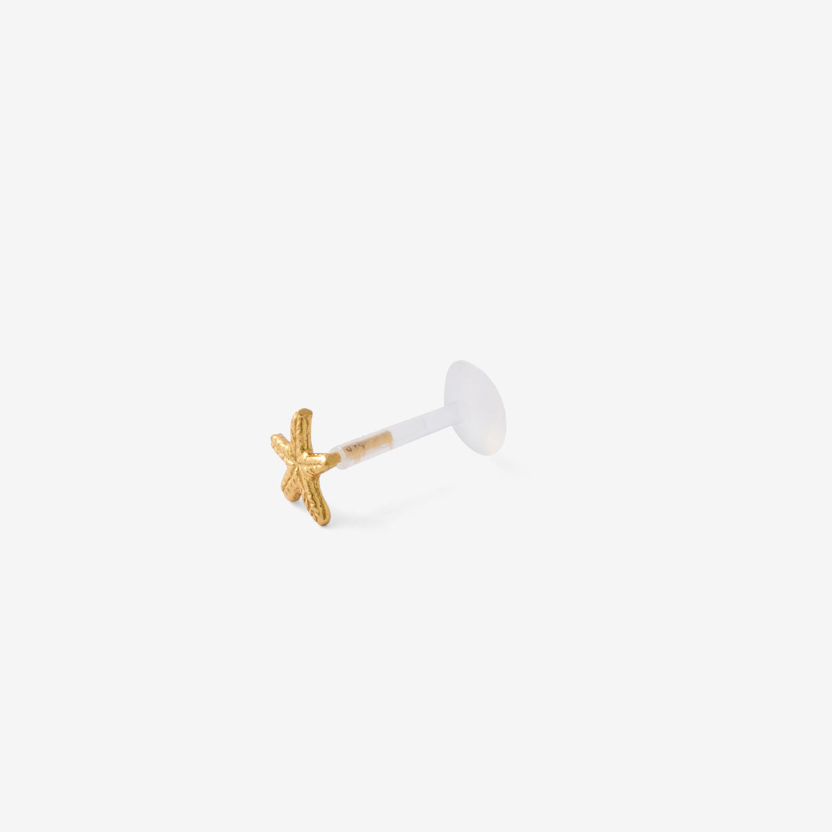 Piercing helix/tragus étoile de mer en argent garanti doré