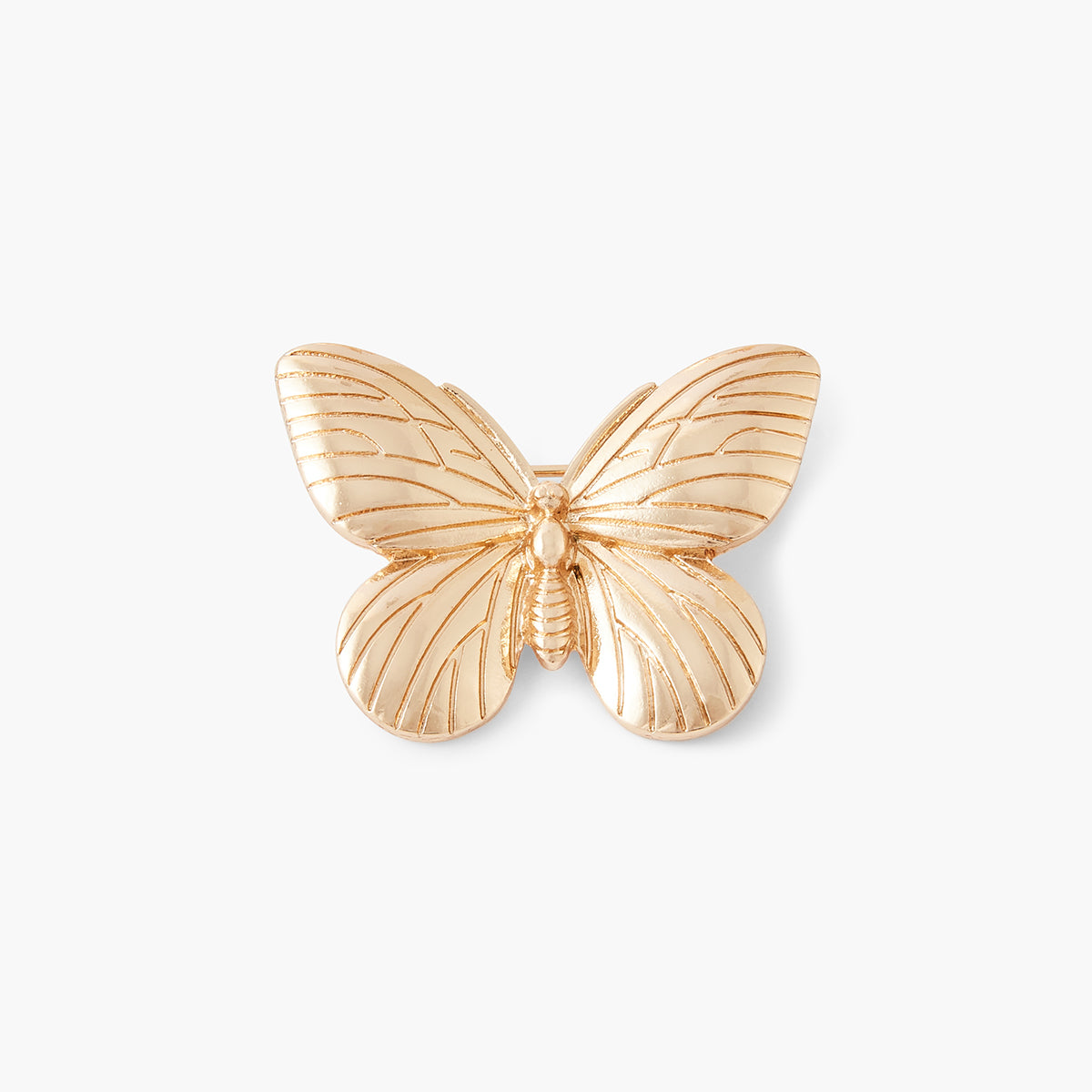 Broche papillon
