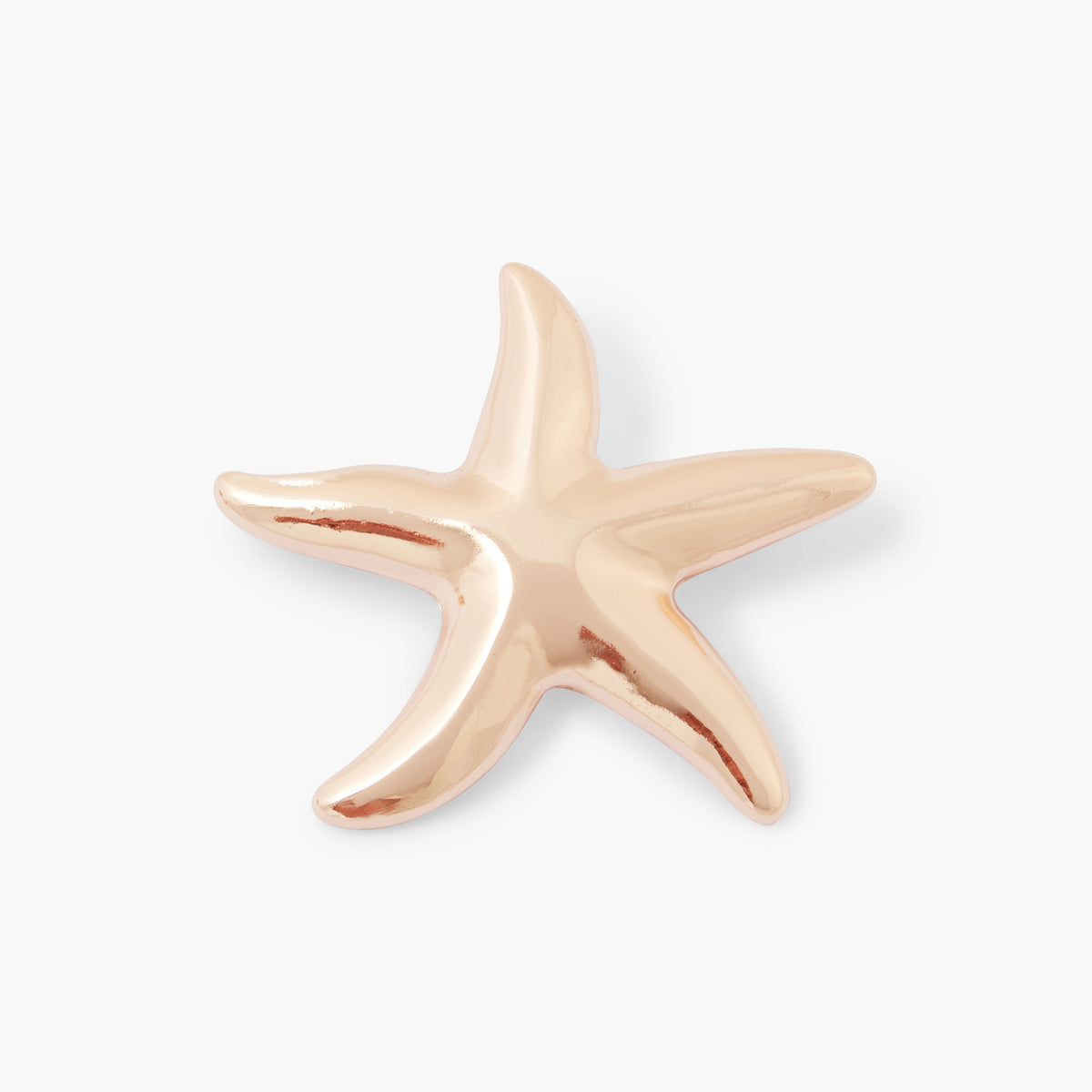 Broche étoile de mer