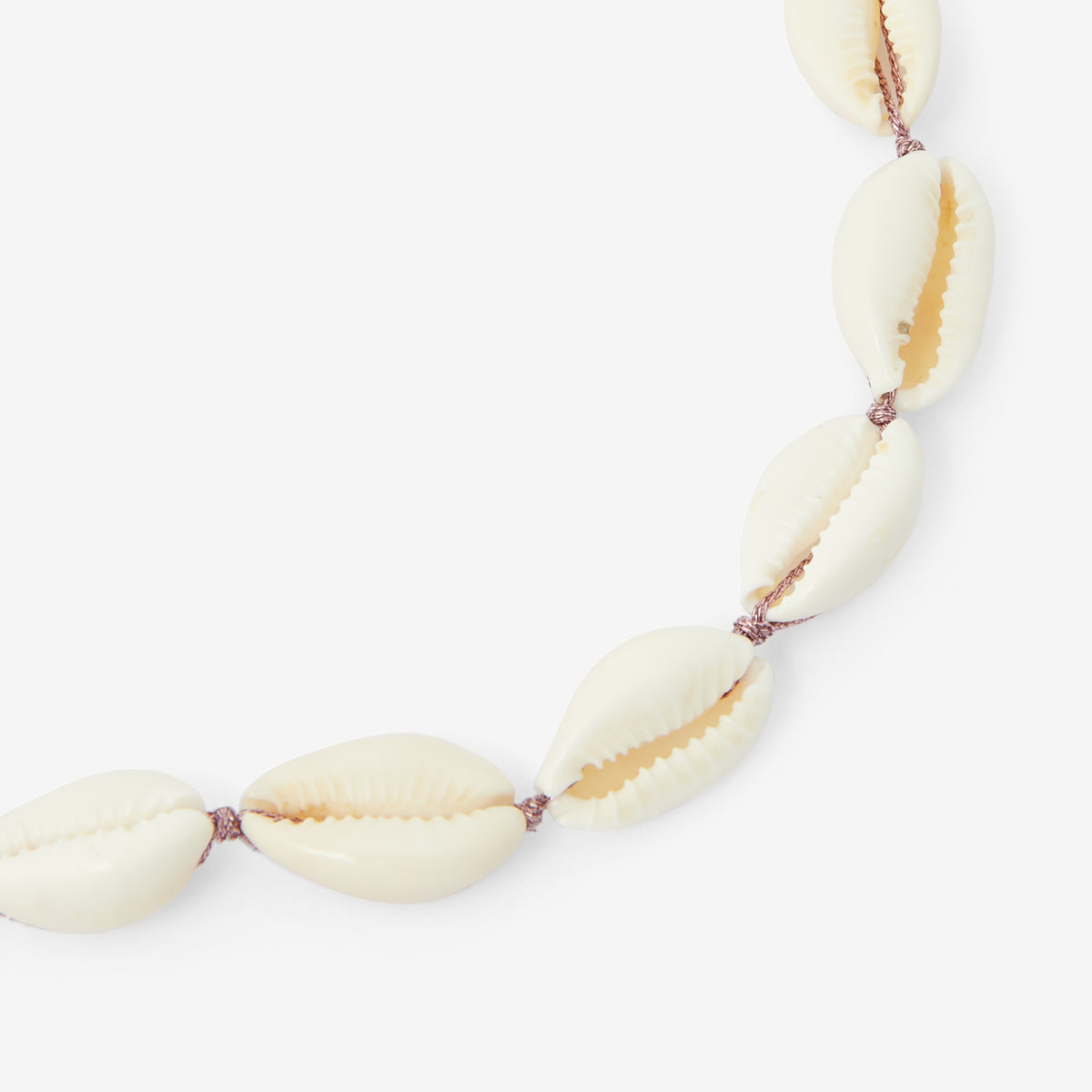 Chocker coquillages