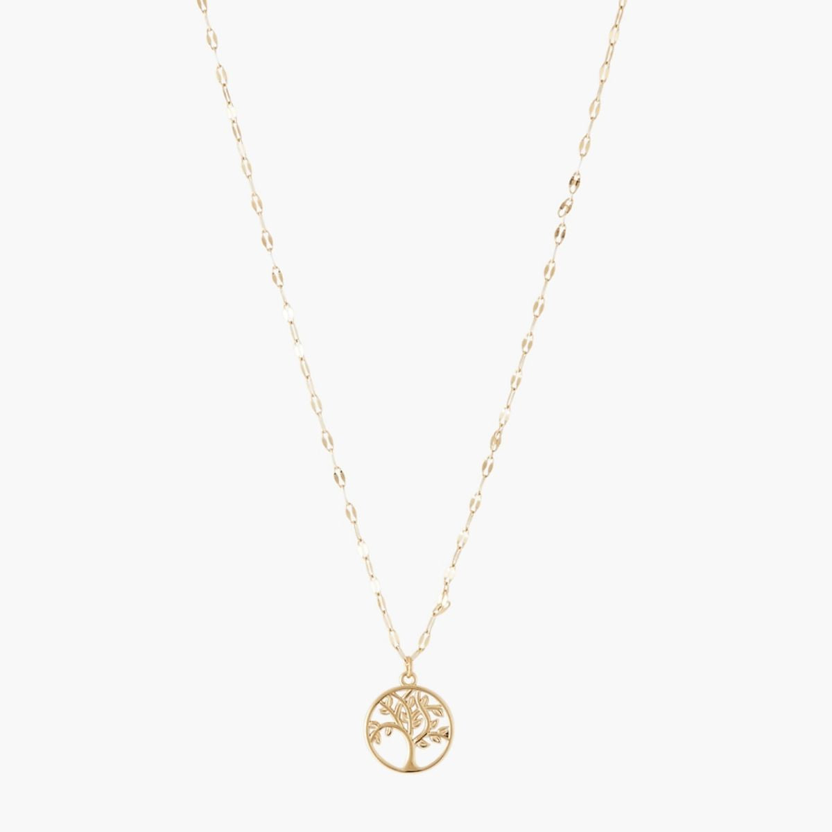 Collier médaillon arbre de vie acier inoxydable