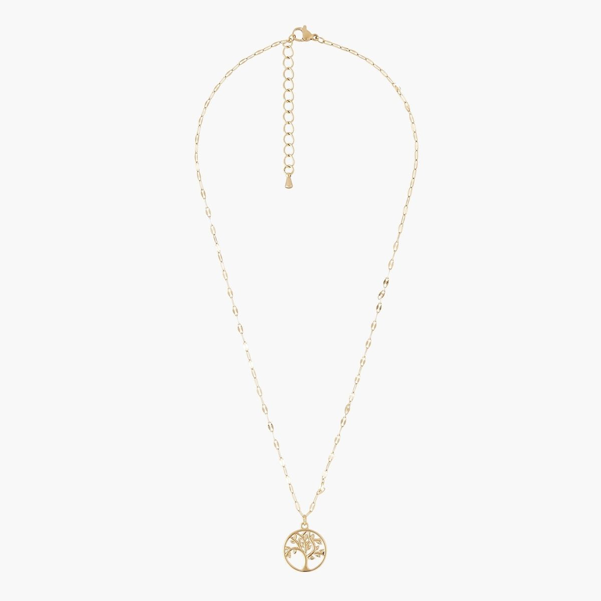 Collier médaillon arbre de vie acier inoxydable