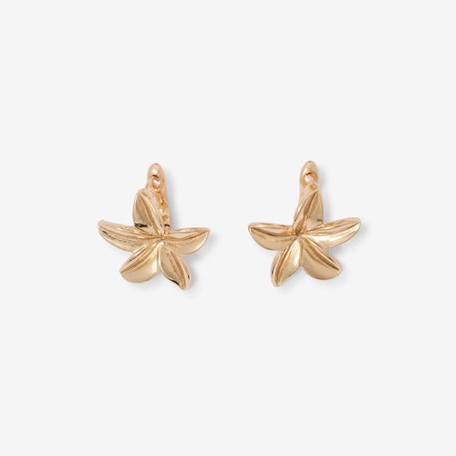 BOUCLES D’OREILLES FLEURS TROPICALES DORÉES