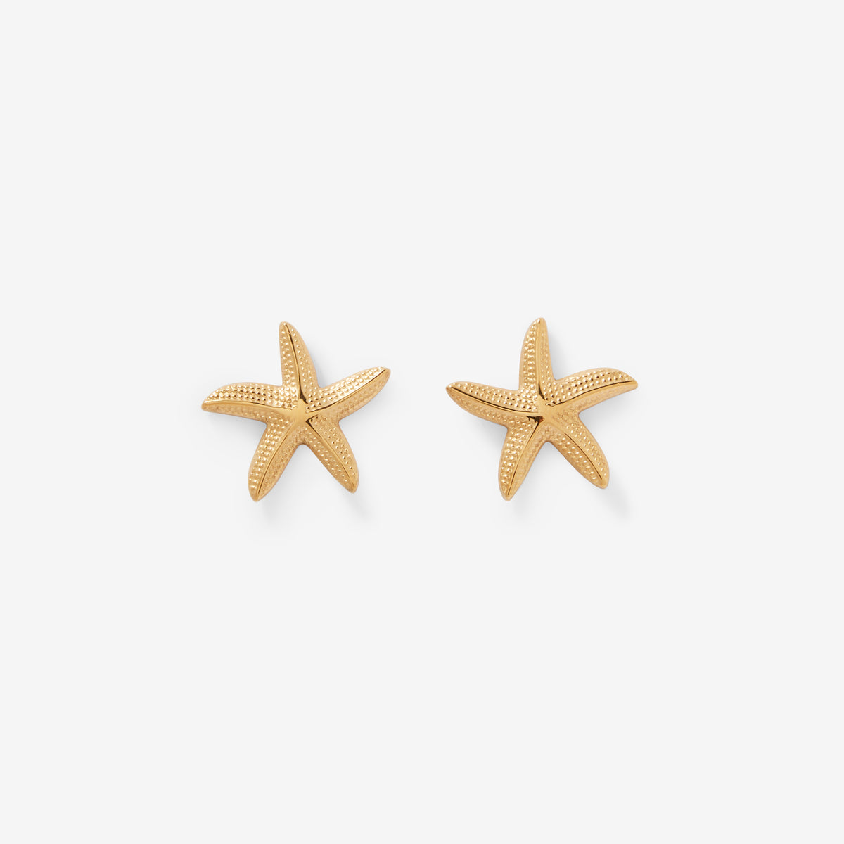 Boucles d'oreilles étoile de mer Acier Inoxydable