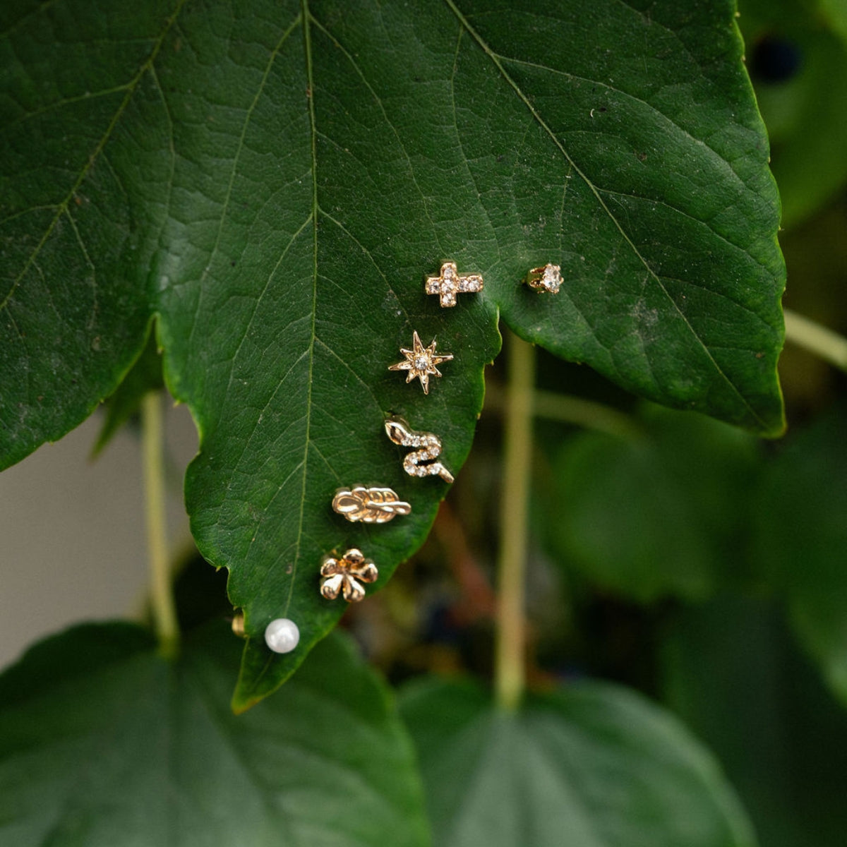 Set de 12 puces d'oreilles dépareillées serpent et œil