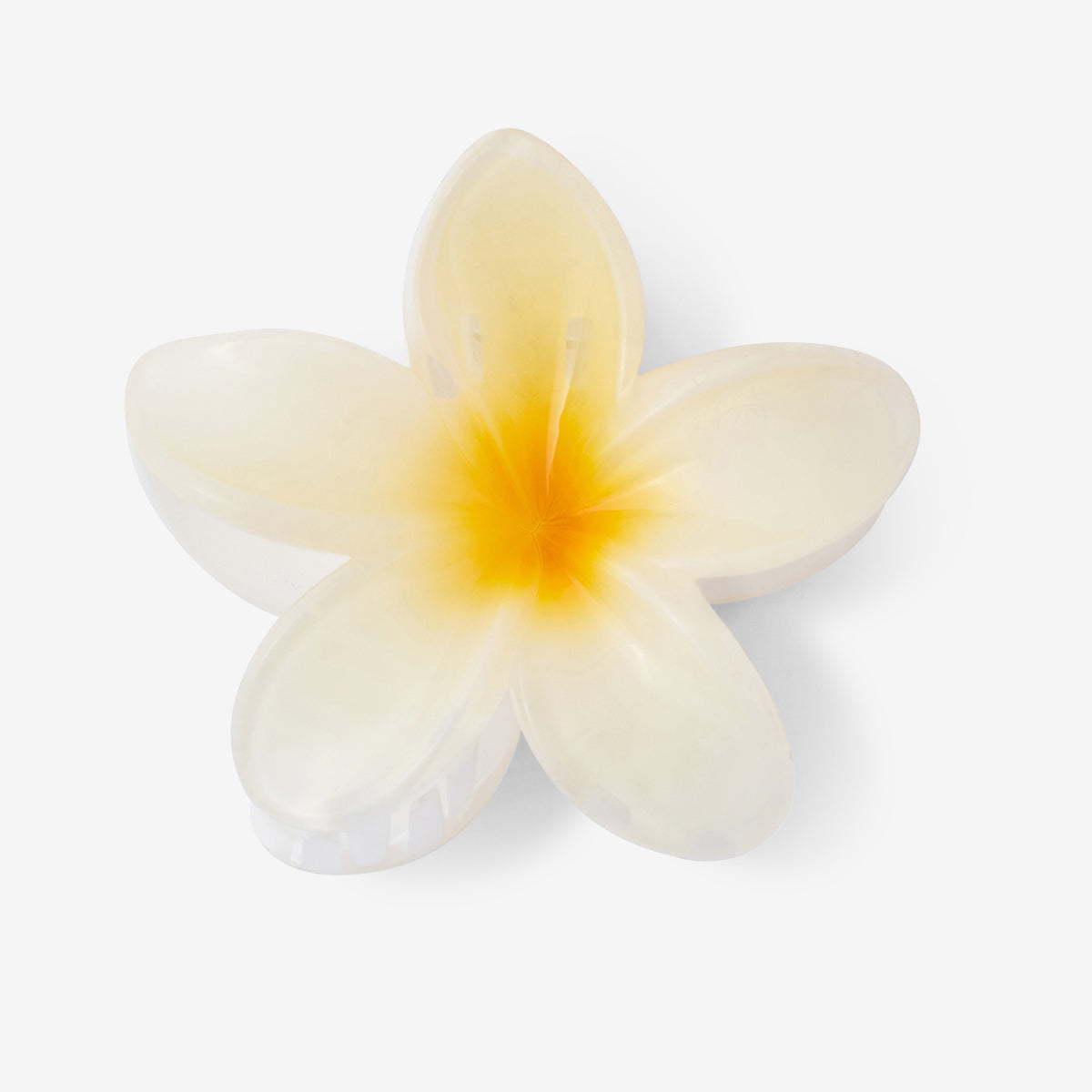 Pince fleur tropicale blanche et jaune