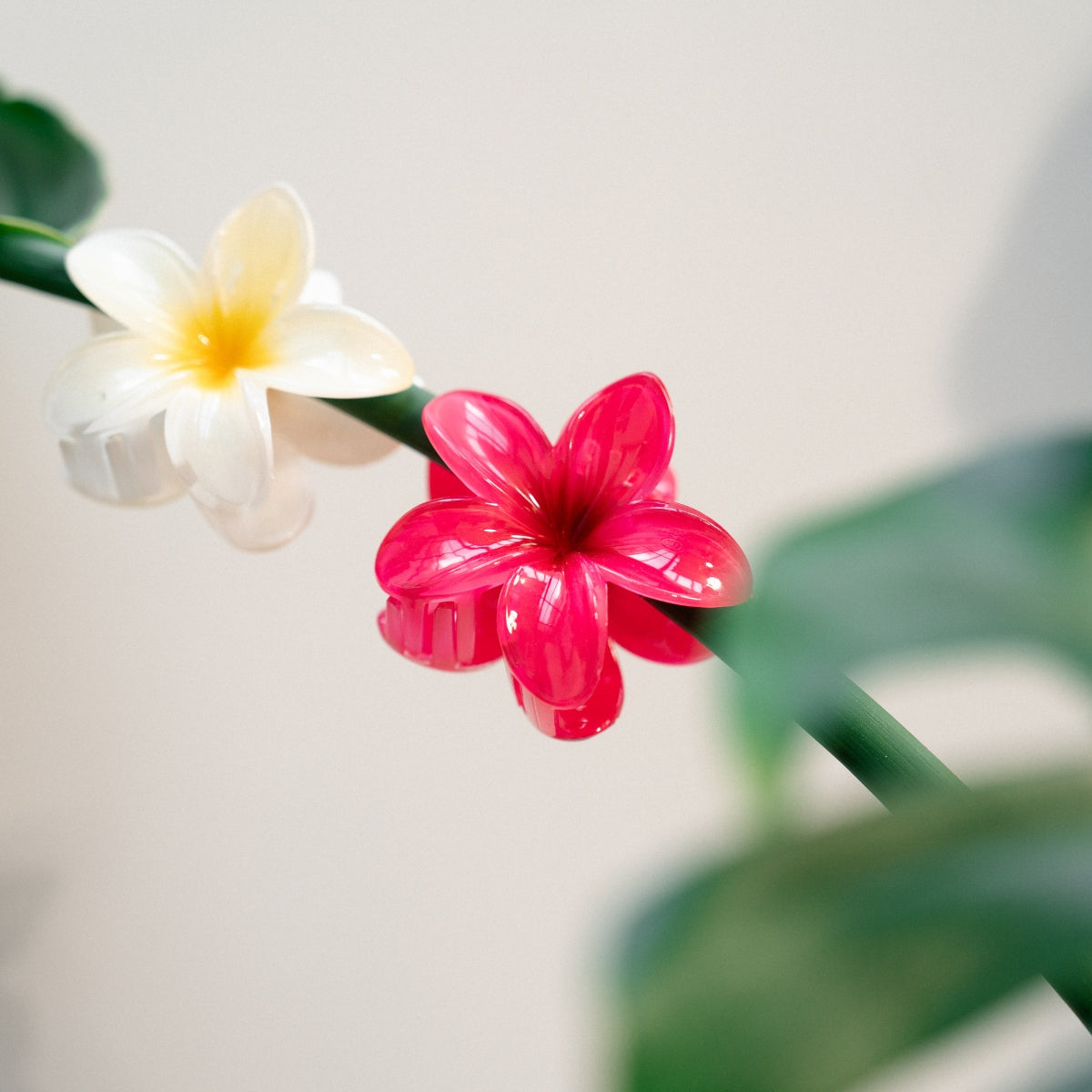 Pince fleur tropicale blanche et jaune