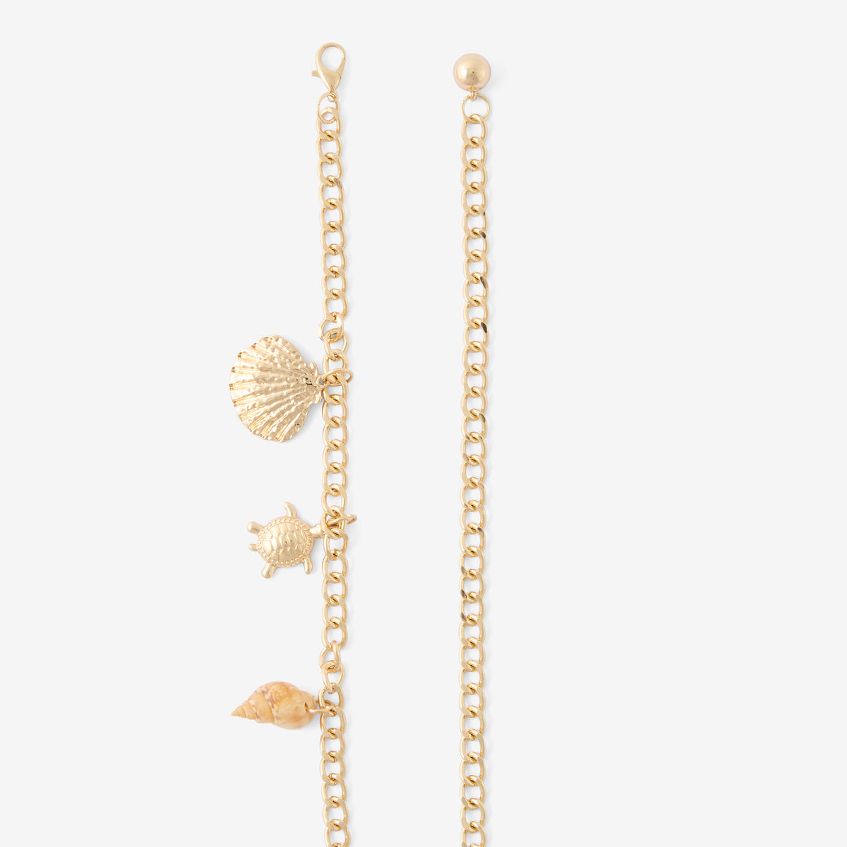 Ceinture chaîne coquillages