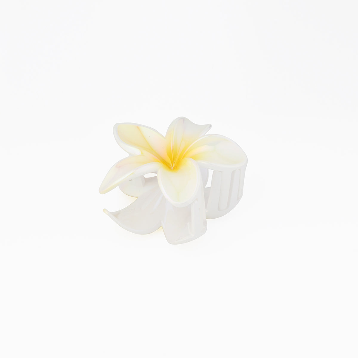 Pince à cheveux fleur dégradée